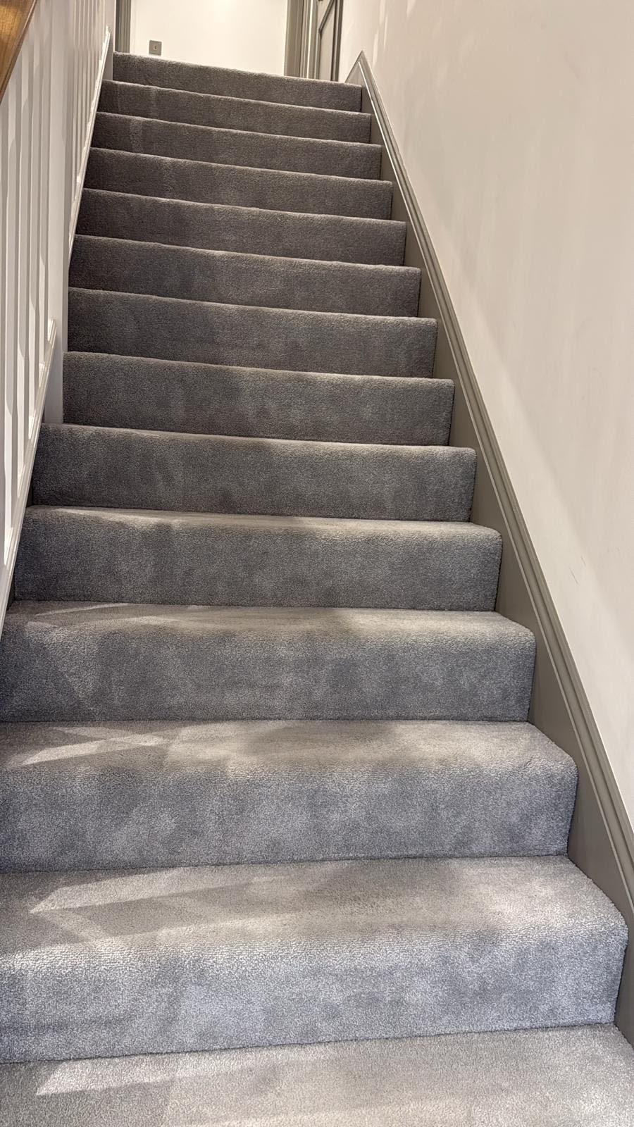 Professional carpet cleaning service